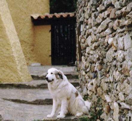 Publication : De Gabizos