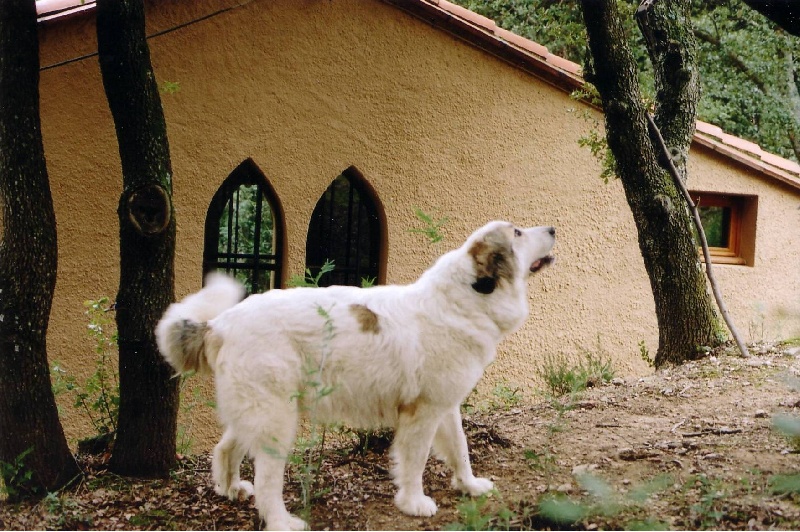 Publication : De Gabizos