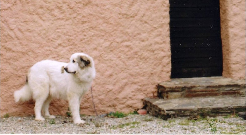 Publication : De Gabizos