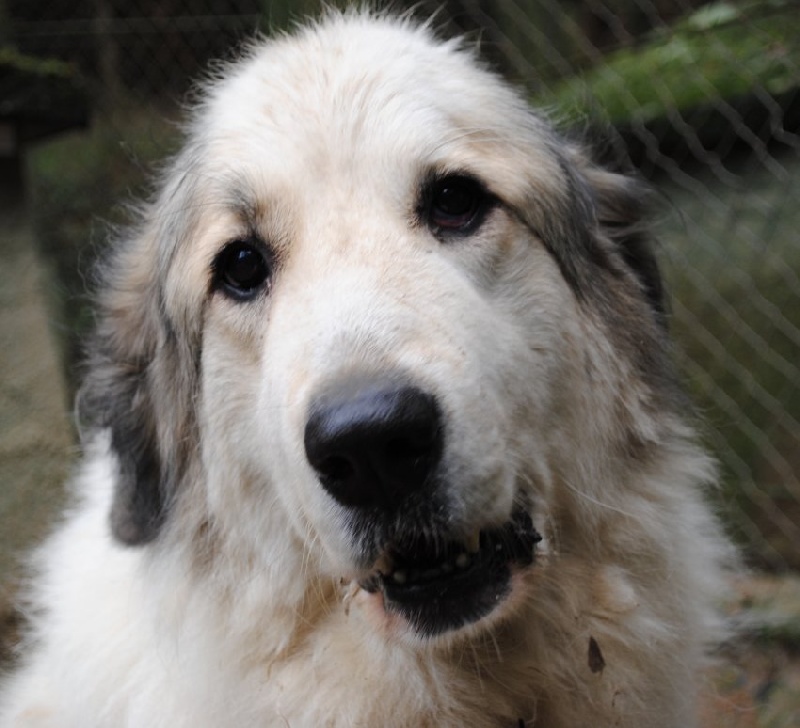 Publication : De Gabizos