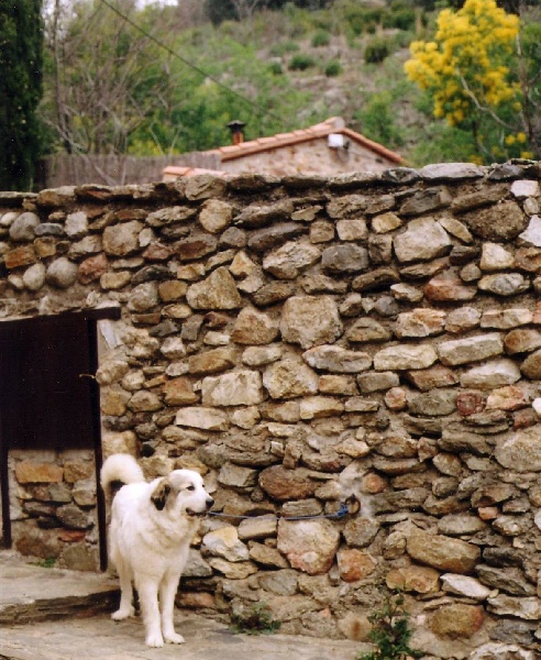 Publication : De Gabizos