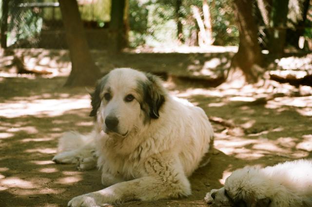 Publication : De Gabizos