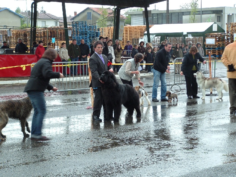 Publication : de la vallée des grands vents