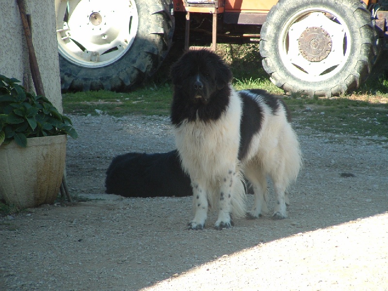 Publication : de la vallée des grands vents