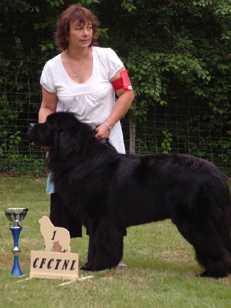 Publication : de la vallée des grands vents