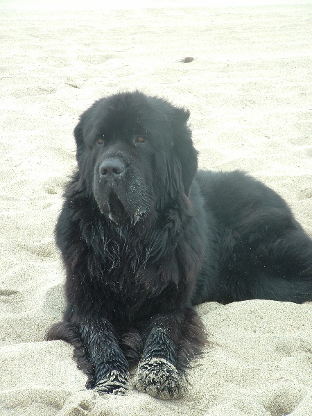 Publication : de la vallée des grands vents