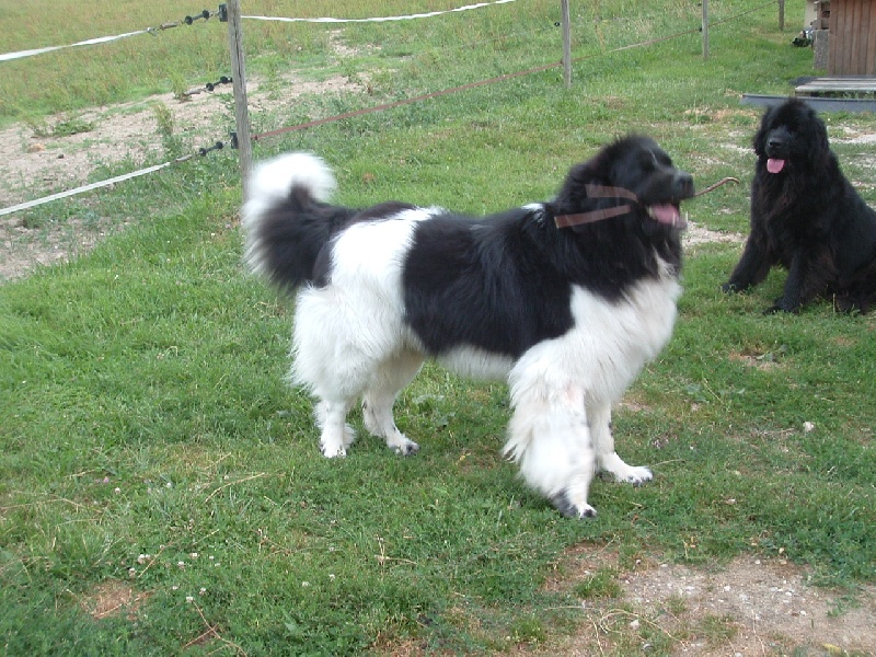 Publication : de la vallée des grands vents