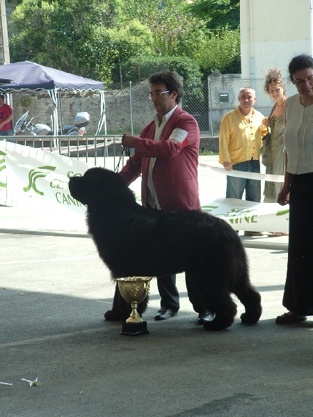 Publication : de la vallée des grands vents