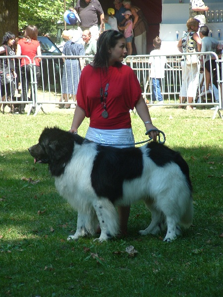 Publication : de la vallée des grands vents