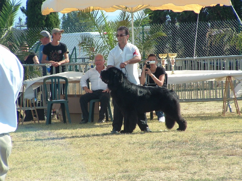 Publication : de la vallée des grands vents