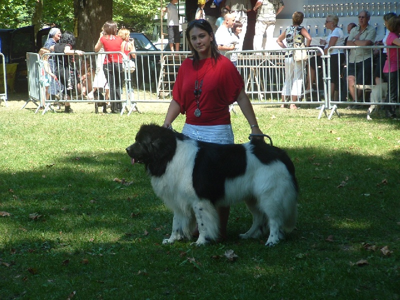 Publication : de la vallée des grands vents