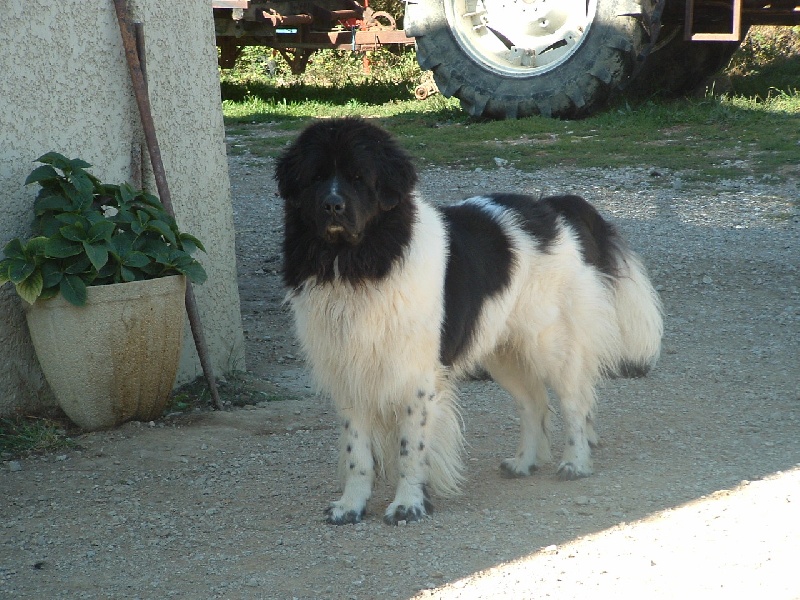 Publication : de la vallée des grands vents