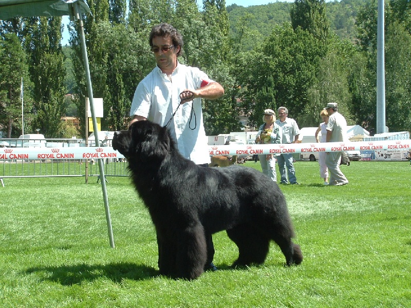 Publication : de la vallée des grands vents