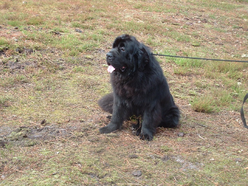 Publication : de la vallée des grands vents