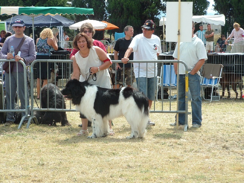 Publication : de la vallée des grands vents