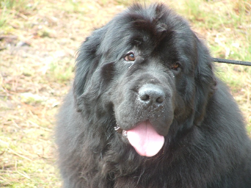 Publication : de la vallée des grands vents