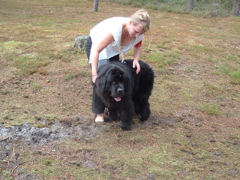 Publication : de la vallée des grands vents