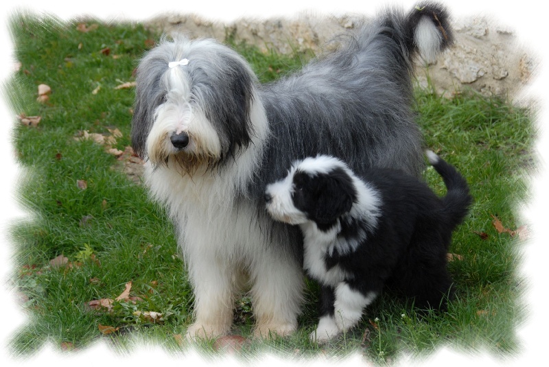 Publication : de L'Ouvernhat