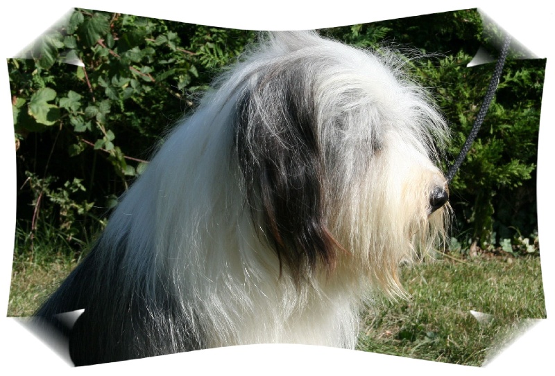 Publication : de L'Ouvernhat