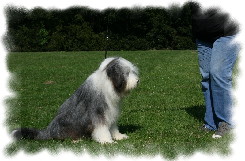 Publication : de L'Ouvernhat