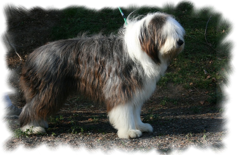 Publication : de L'Ouvernhat