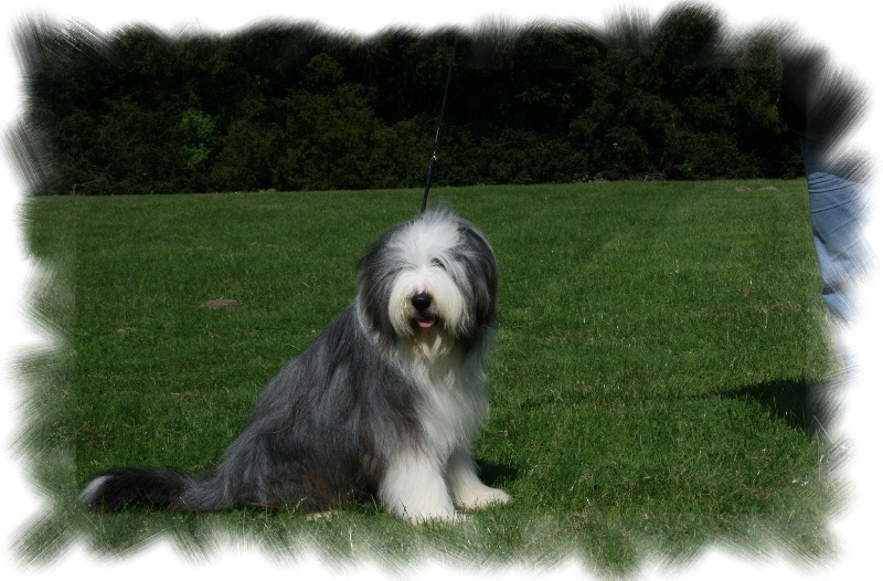 Publication : de L'Ouvernhat