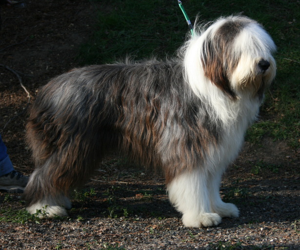 Publication : de L'Ouvernhat