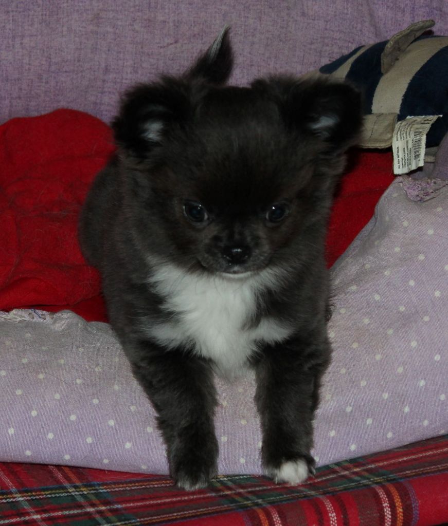 Publication : de la Voie des Péniches Auteur : EVELYNE JULIEN