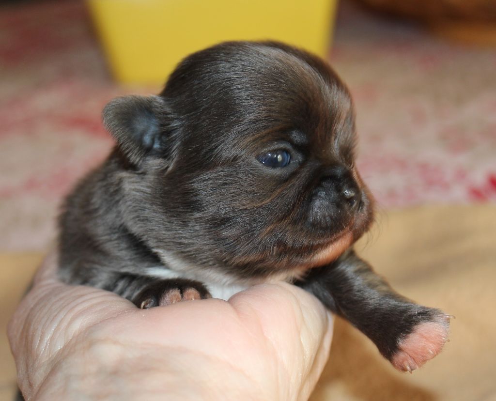 Publication : de la Voie des Péniches Auteur : EVELYNE JULIEN