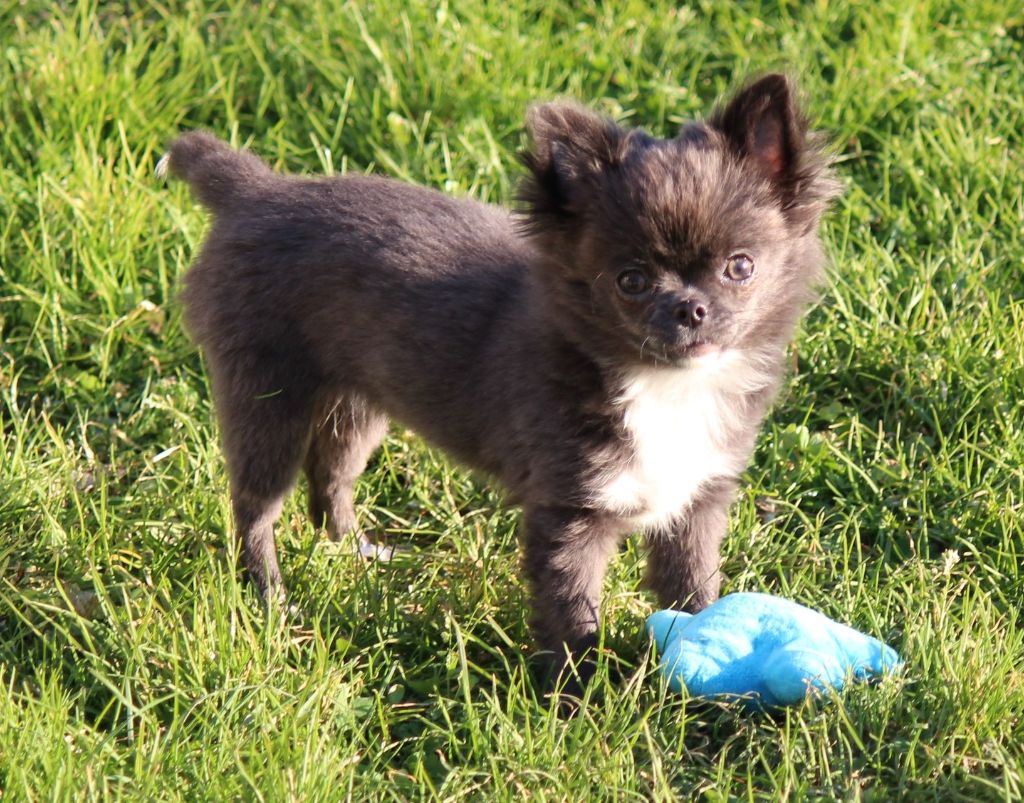 Publication : de la Voie des Péniches Auteur : EVELYNE JULIEN
