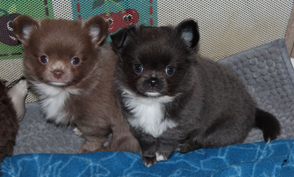 Publication : de la Voie des Péniches Auteur : EVELYNE JULIEN