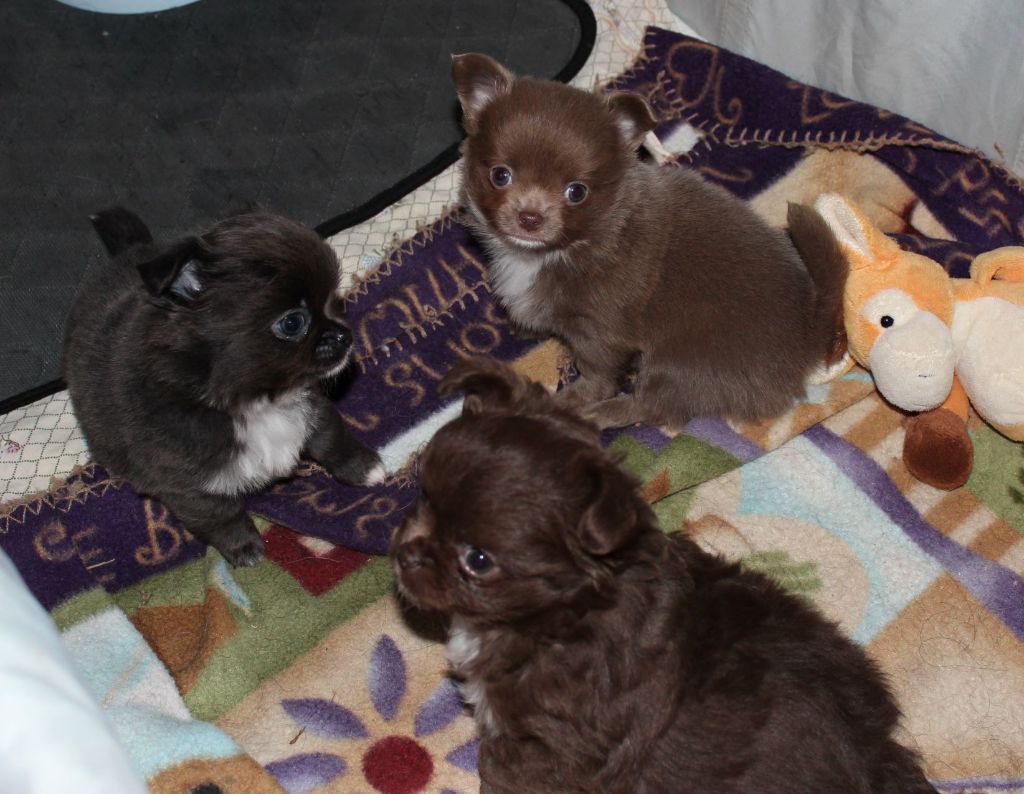 Publication : de la Voie des Péniches Auteur : EVELYNE JULIEN