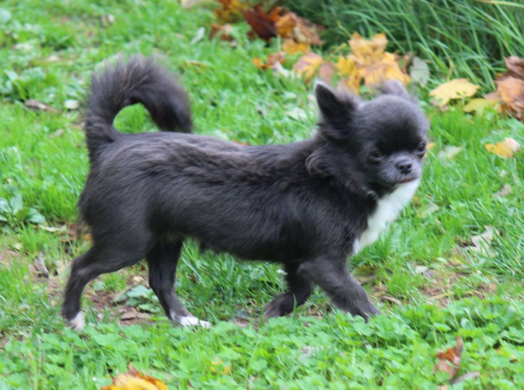 Publication : de la Voie des Péniches Auteur : EVELYNE JULIEN