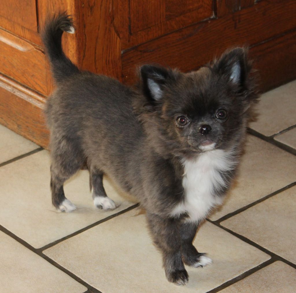 Publication : de la Voie des Péniches Auteur : EVELYNE JULIEN