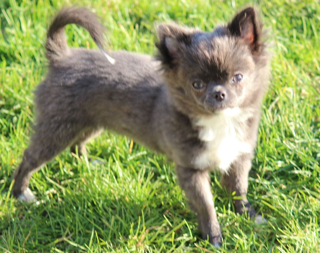 Publication : de la Voie des Péniches Auteur : EVELYNE JULIEN