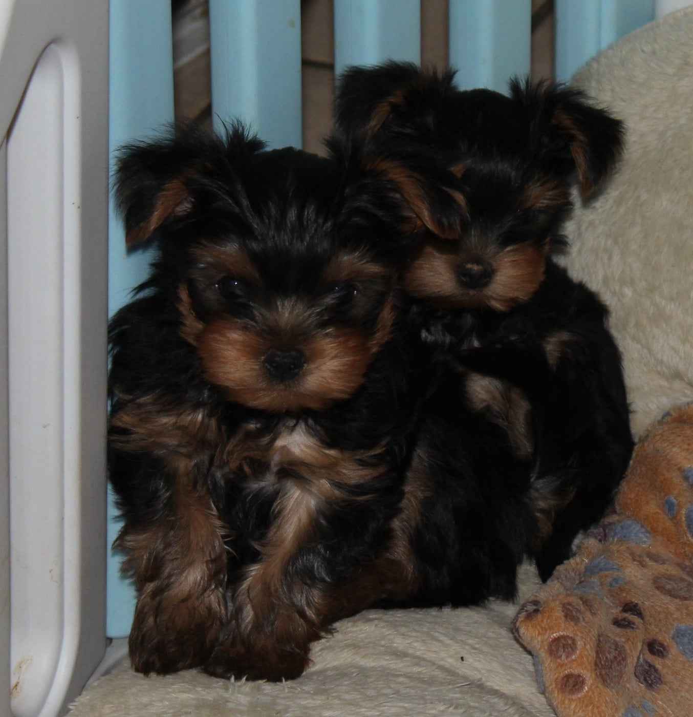 BAKI De la Voie des Péniches
