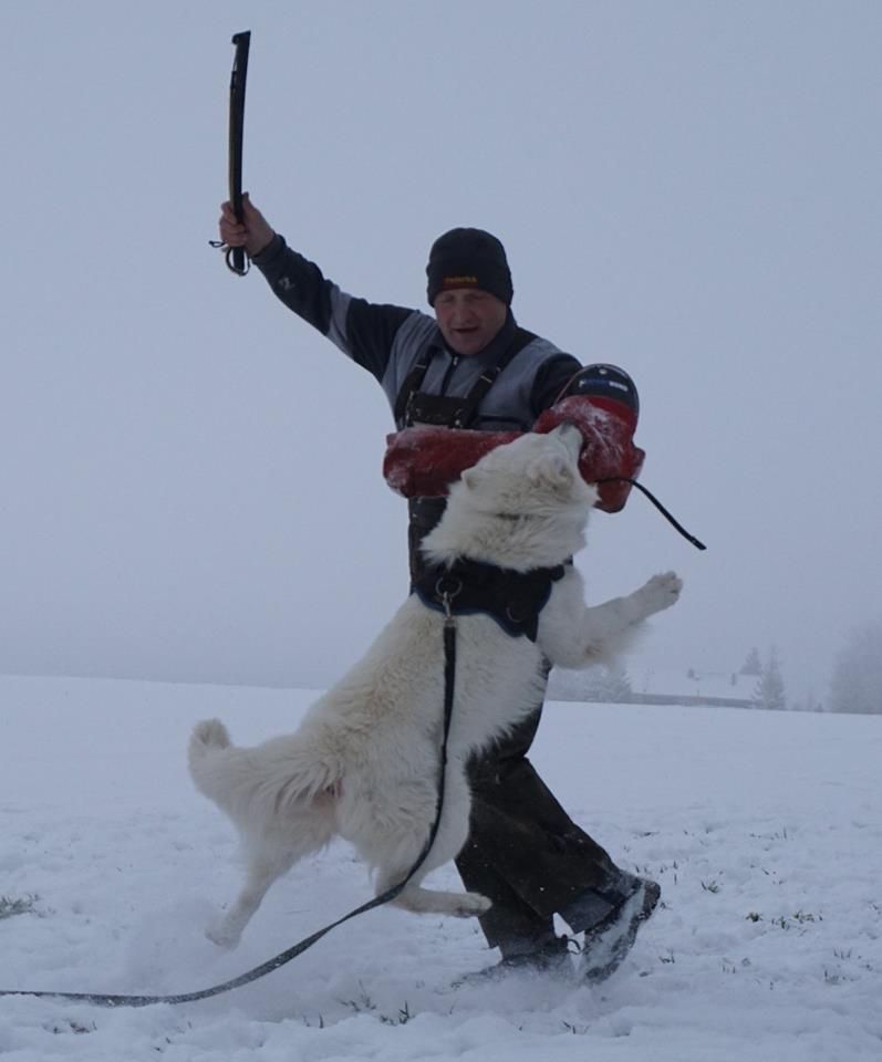 Publication : du plateau ardennais