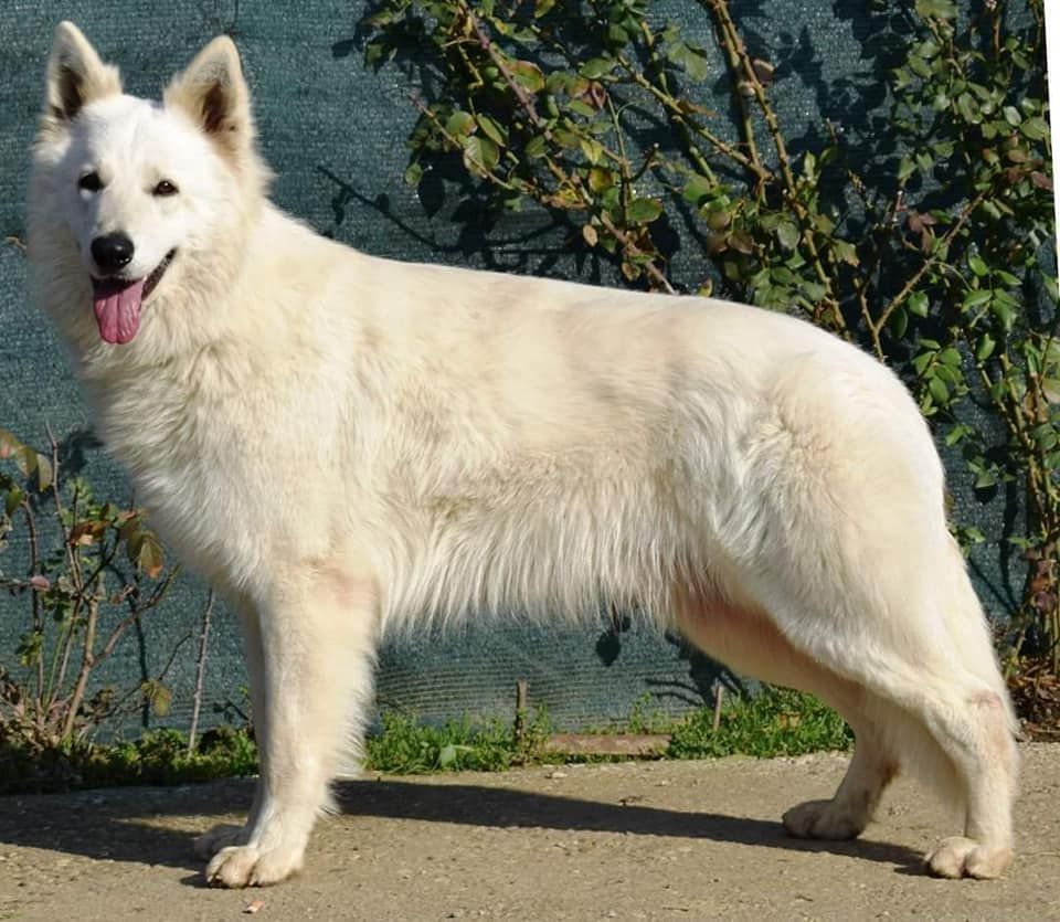 Publication : du plateau ardennais