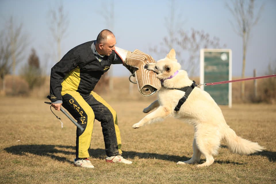 Publication : du plateau ardennais