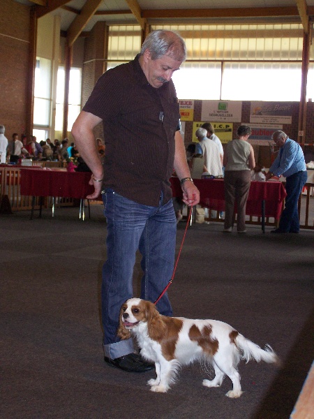 Publication : De vaudival Auteur : Mme BERGER