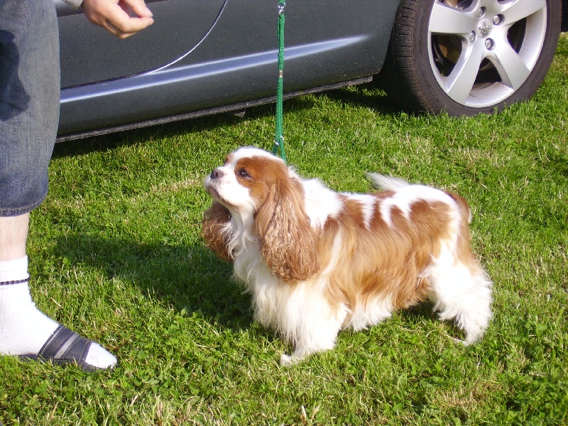 Publication : De vaudival