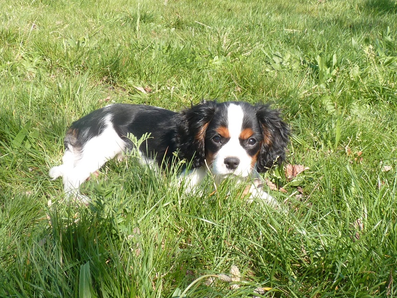 Publication : de la plaine du Jaelma