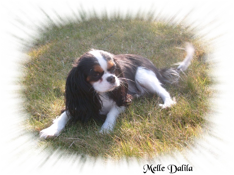 Publication : de la plaine du Jaelma