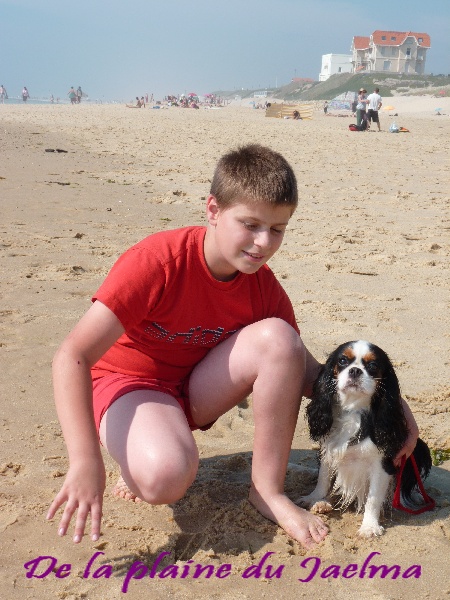 Publication : de la plaine du Jaelma