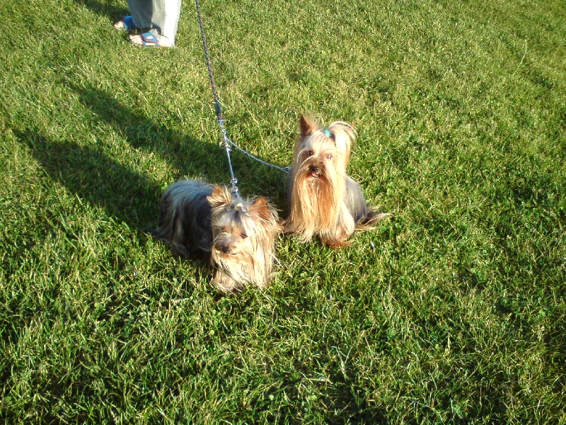 Publication : de la plaine du Jaelma