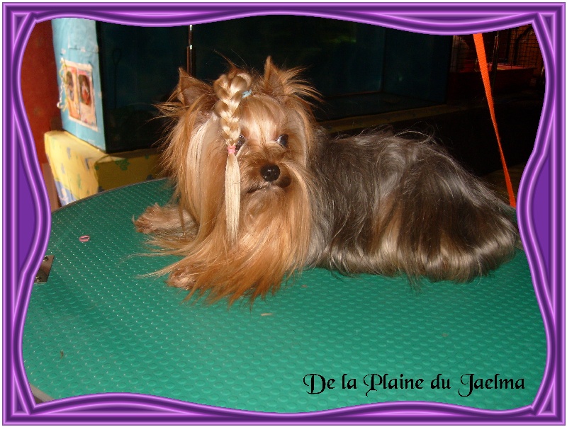 Publication : de la plaine du Jaelma