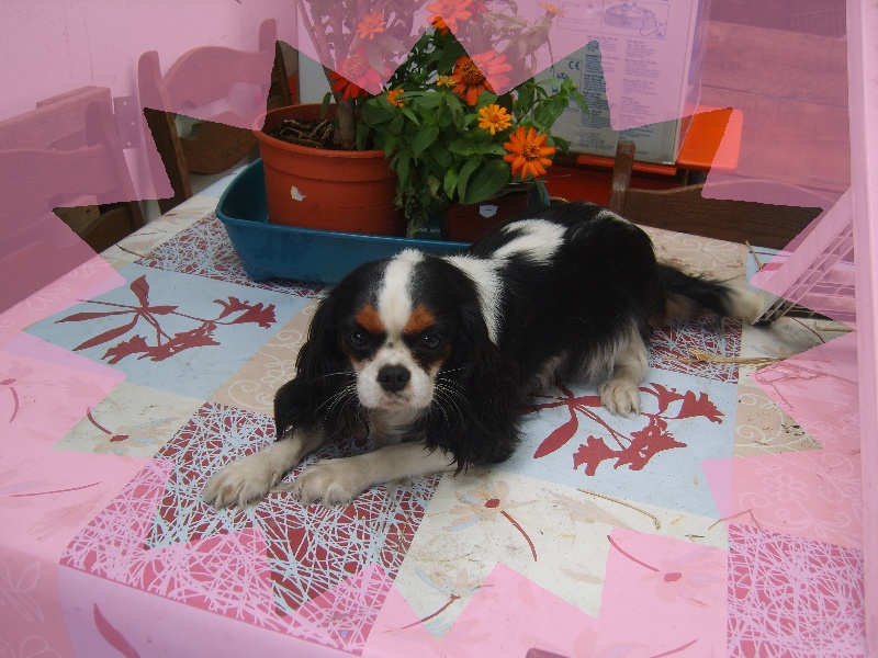 Publication : de la plaine du Jaelma