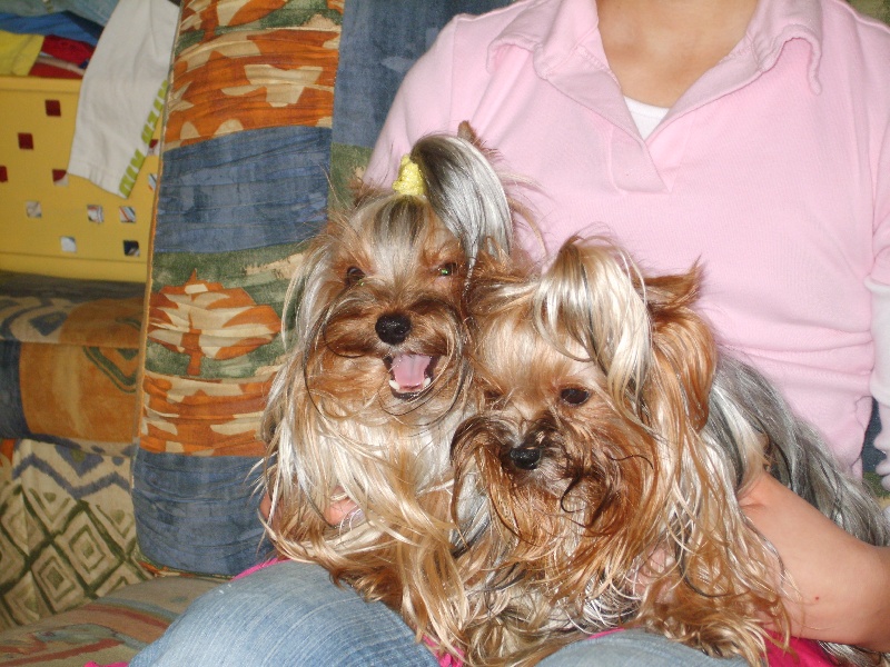 Publication : de la plaine du Jaelma