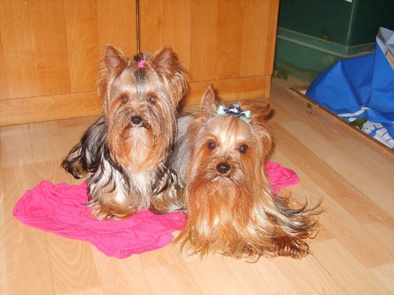 Publication : de la plaine du Jaelma