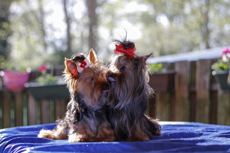 Publication : de la plaine du Jaelma